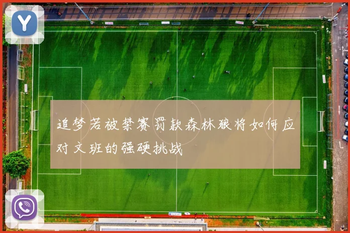 追梦若被禁赛罚款森林狼将如何应对文班的强硬挑战